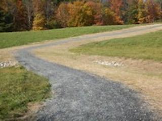 View of new trail from the bottom of hill